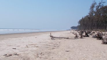 The Good and The Bad: An Honest Travel to Tajpur Beach