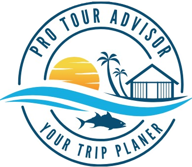 pto TOUR Advisor